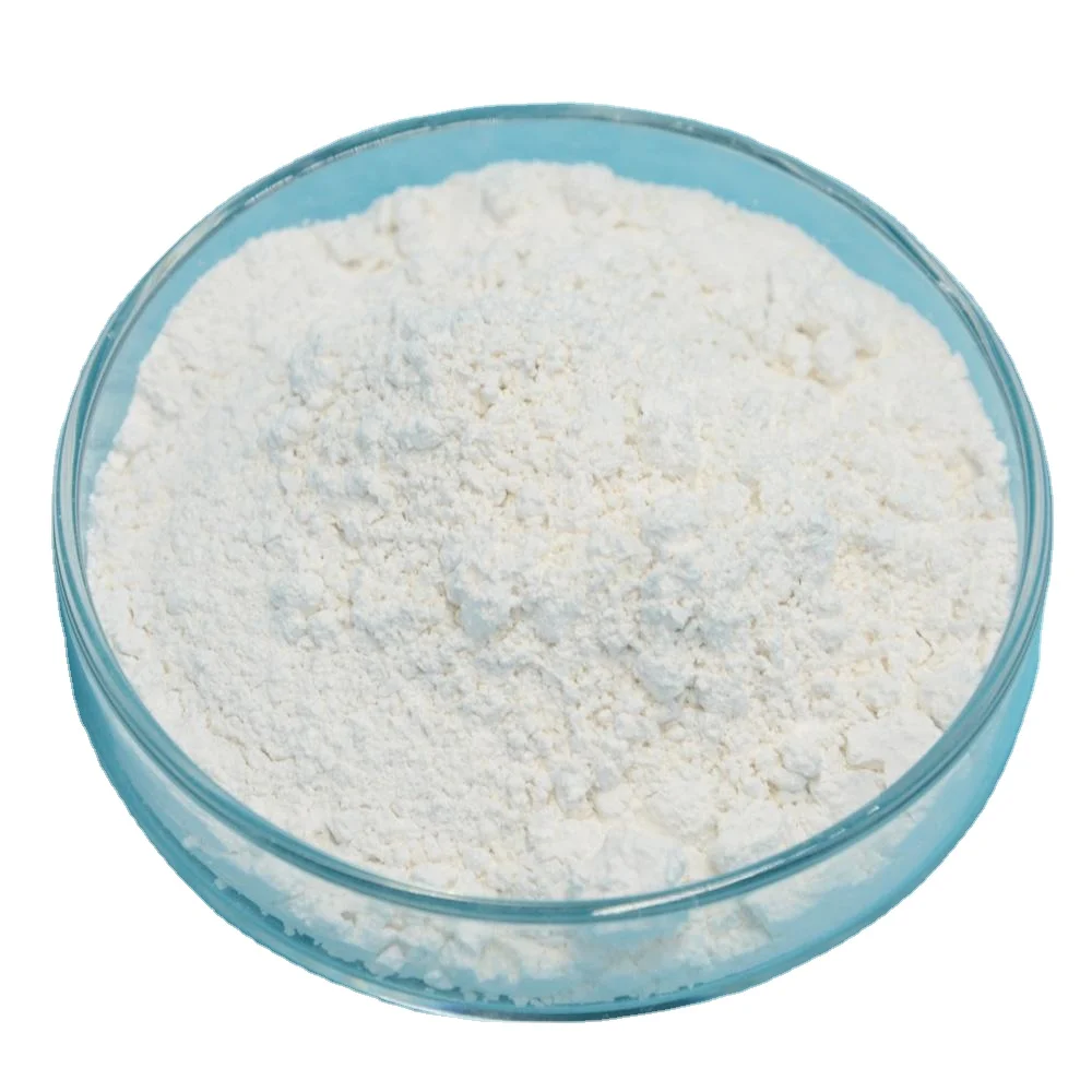 2023 Calcium Carbonate Price Heavy 99% Carbonate White Powder Heavy Calcium Carbonate Nanoparticle CAS 471-34-1 Incompatible wit
