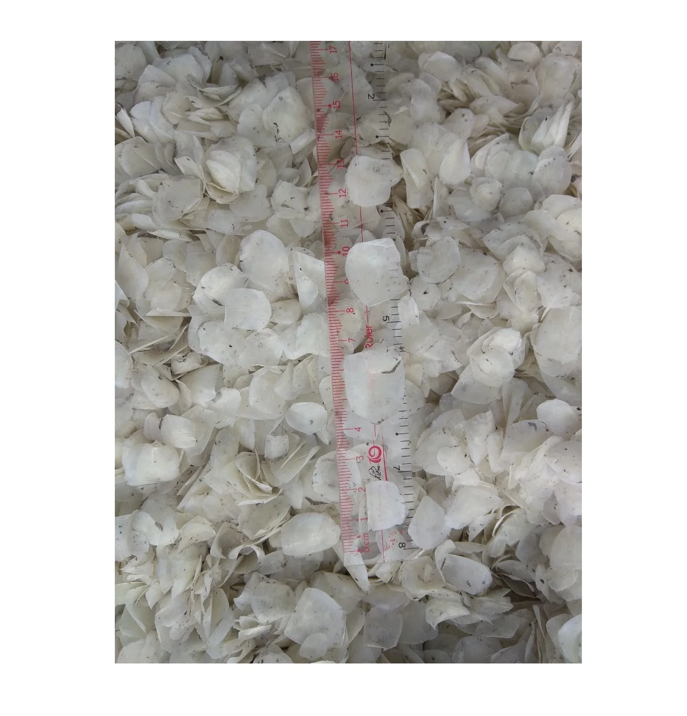 Fish scale ossein/Dried Decalcified fish scales/Dried snapper fish scales collagen (Ms. Sandy)