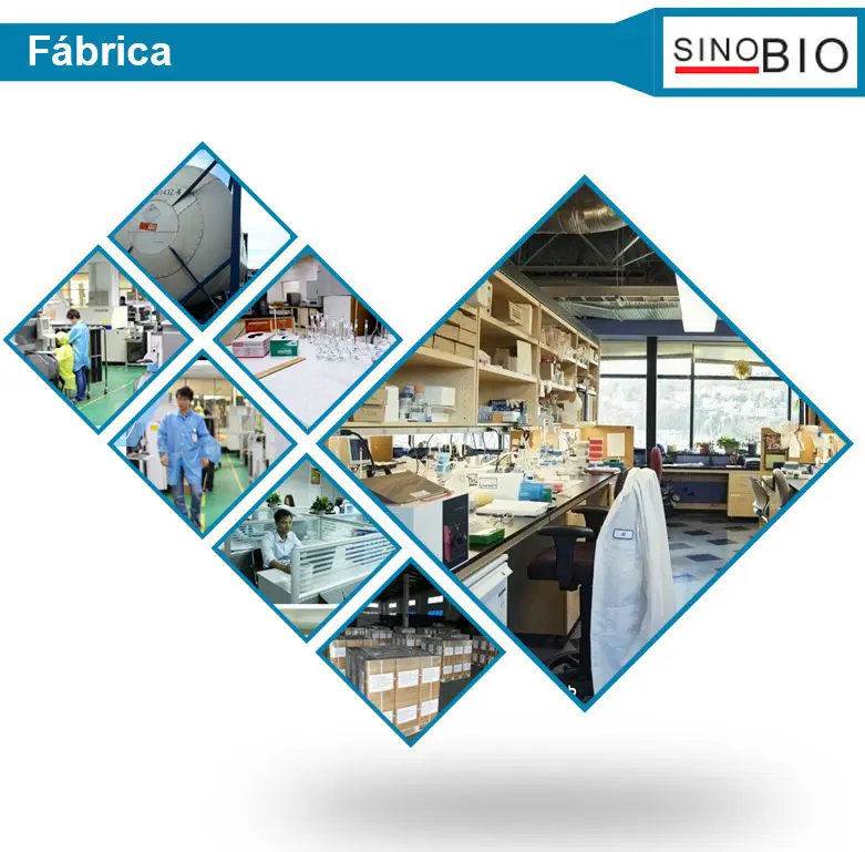 
Sinobio BKC benzalkonium chloride liquid cas 68424-85-1 80% 50% 