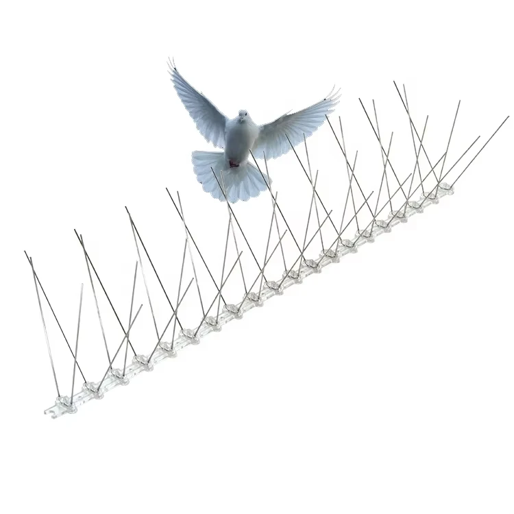 High Performance Customized Durable Outdoor Anti Bird Spikes Middle Size Bird Control Spike