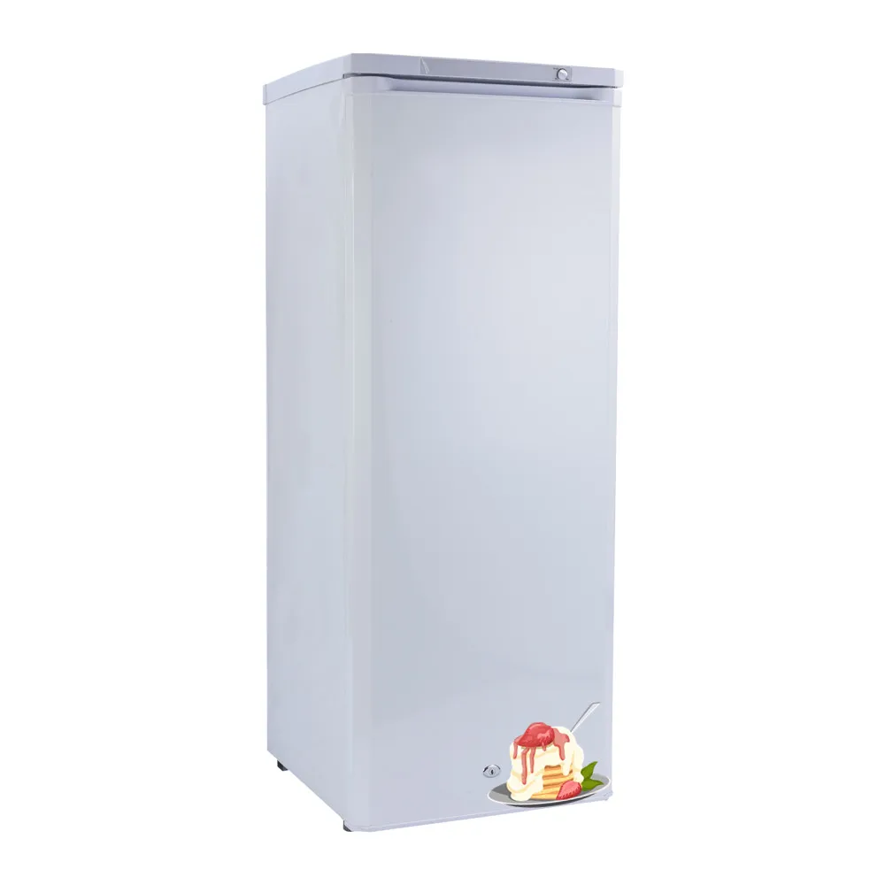 congelateur Manufacturer 178L  UPRIGHT Congelateur solaire hybride ICE MAKER