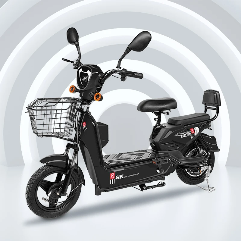 Flashfish New Model Shipping Bysicle Cheap Wholesale Bike Bag Kit with Rechargeable Battery Cheapest Motorized Bicycle  for Sale