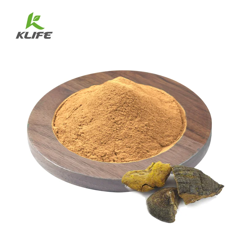 Оптовая продажа, органический обычный гриб Morin Phellinus, экстракт грибов воспламенителя