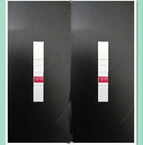 
ABO Old Blood Grouping saliva test Cassette 