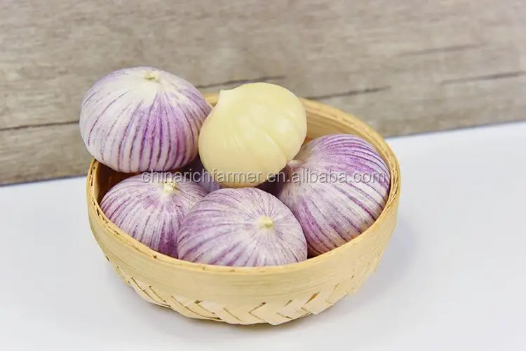 China Origin Factory Supplier Wholesale High Quality Cheap Price of Fresh White Garlic