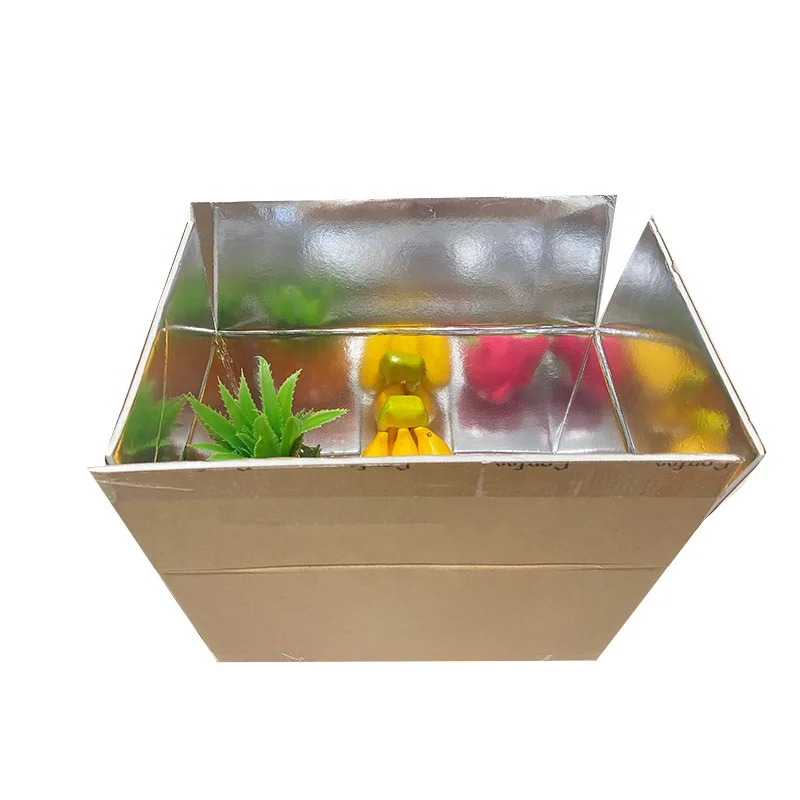 All-Weather Waterproof Aluminum Foil Insulated Shipping Boxes Cold Chian Delivery Box for Frozen Products Distribution