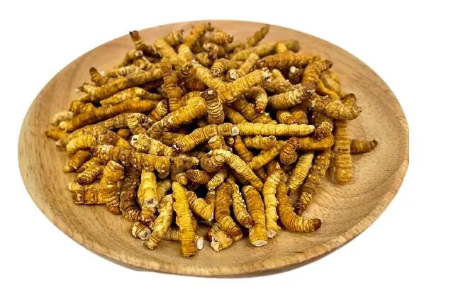 High Nutritional Value Deep Cleaning Tibet Mushroom Extracts Cordyceps Adenosine