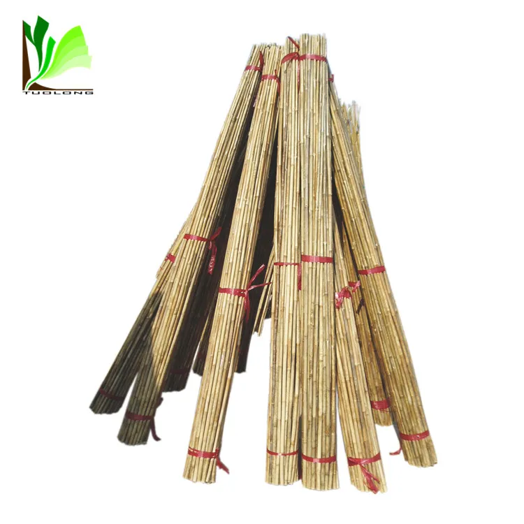 bamboo poles straightening bamboo