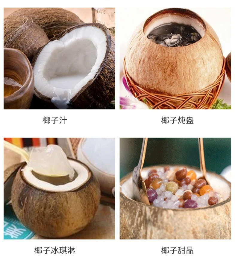 Epsilon 2021 new rubber handle stainless steel coconut opener coconut tools coconut tool opener