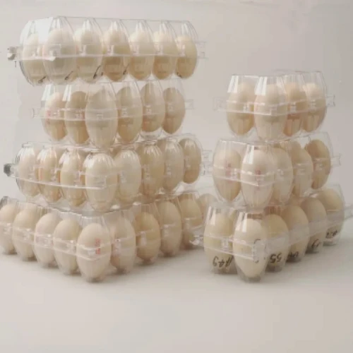 Wholesale Chicken Egg Holder Clamshell Chicken Egg Tray Transparent Plastic 6 8 12 15 16 30 Holes PET Agriculture