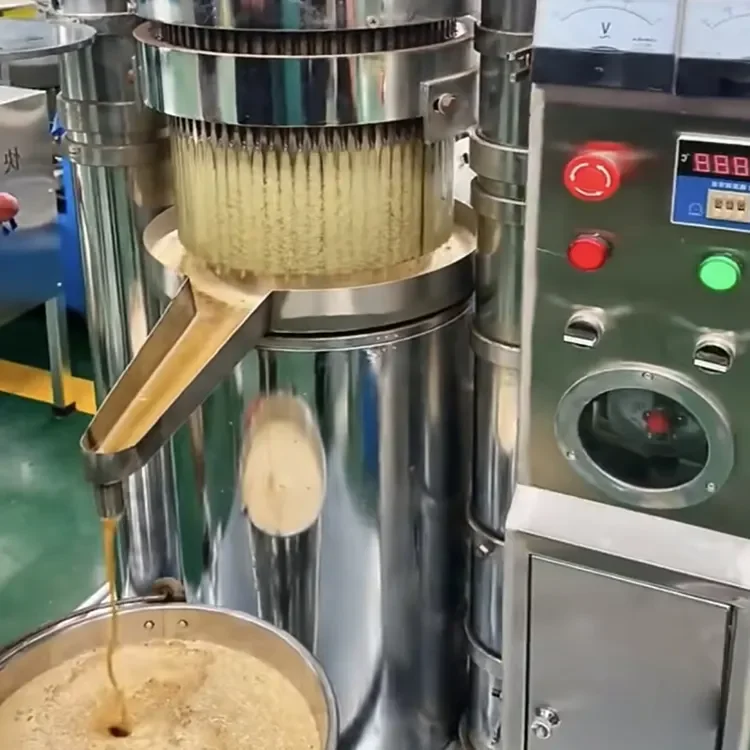 hydraulic olive oil machine cold press in bangladesh coconut oil palm seeds olive oil mustard 20kg-180kg/H