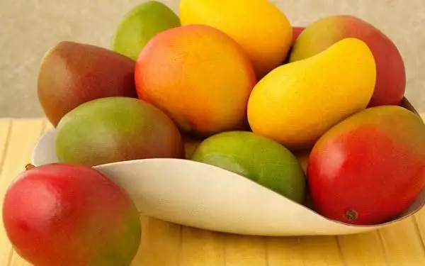 
High Quality Fresh Fruit Tommy Atkins Mango 