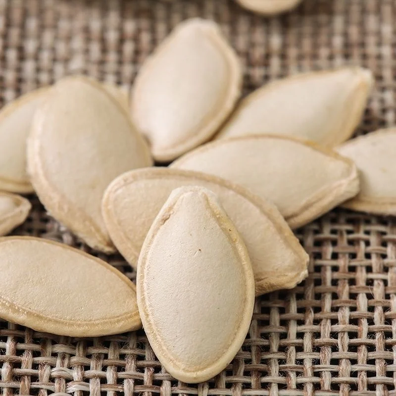 Wholesale Pumpkin Seeds New Crop Best Price Organic Pumpkin Seeds