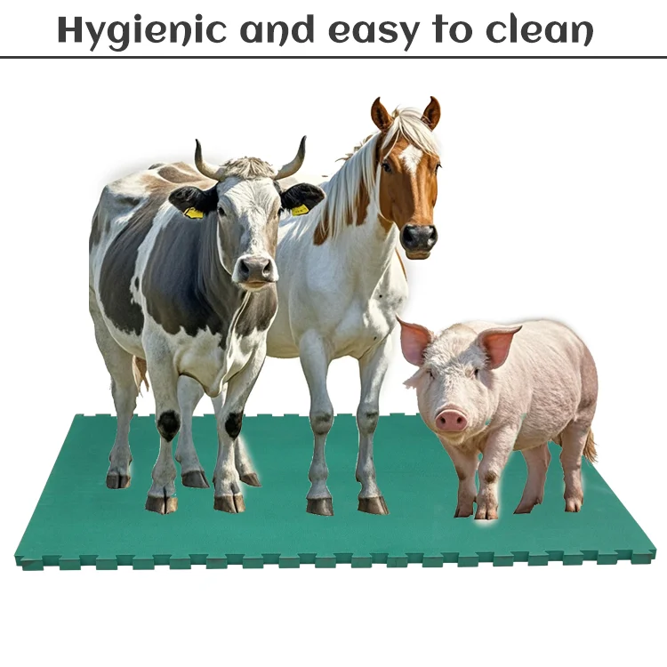 Best new Eva Cow Mats easy cleaning Livestock Enclosures Mat wear resistant Horse Stall Mats for cows horses pigs standing lying