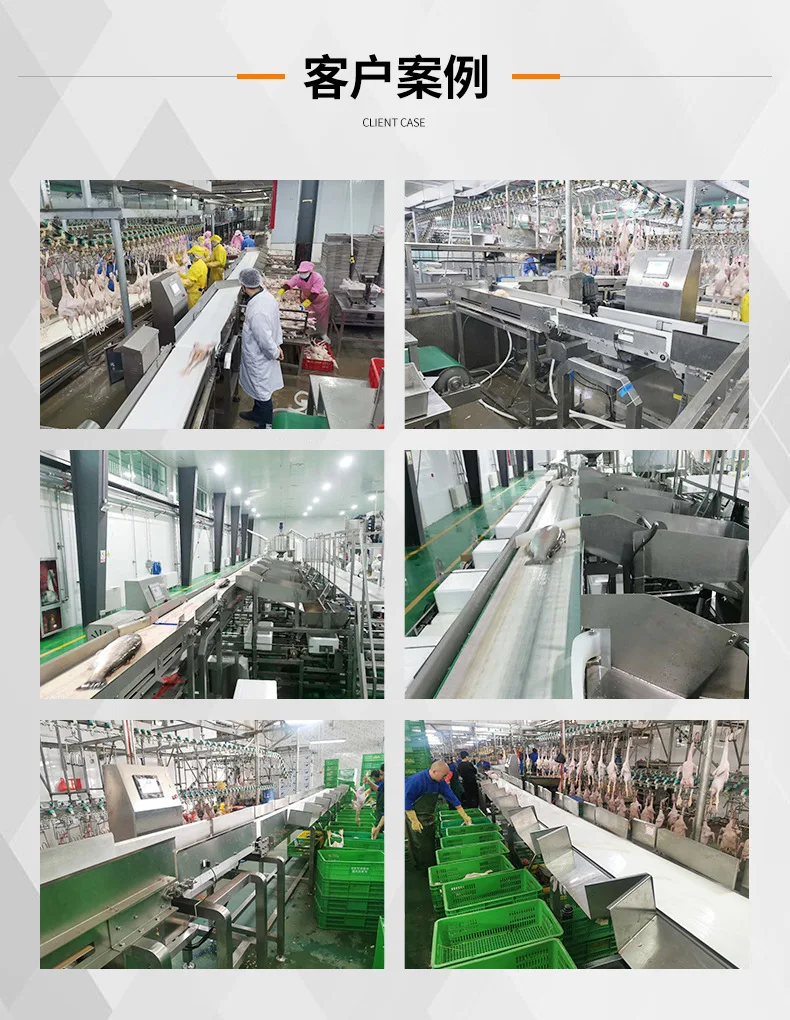 China Fish Seafood Shrimp Steak Chicken Duck Pigeon Fruit Vegetable Multi Grade Online Weighing Sorting Machine