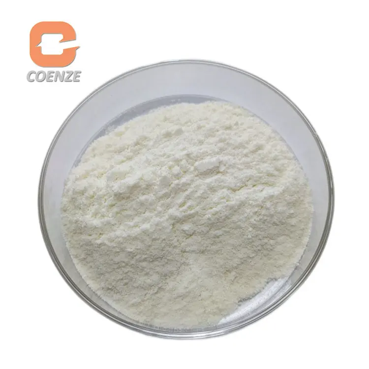Food Enzyme Cheese Powder Rennet Casein Chymosin