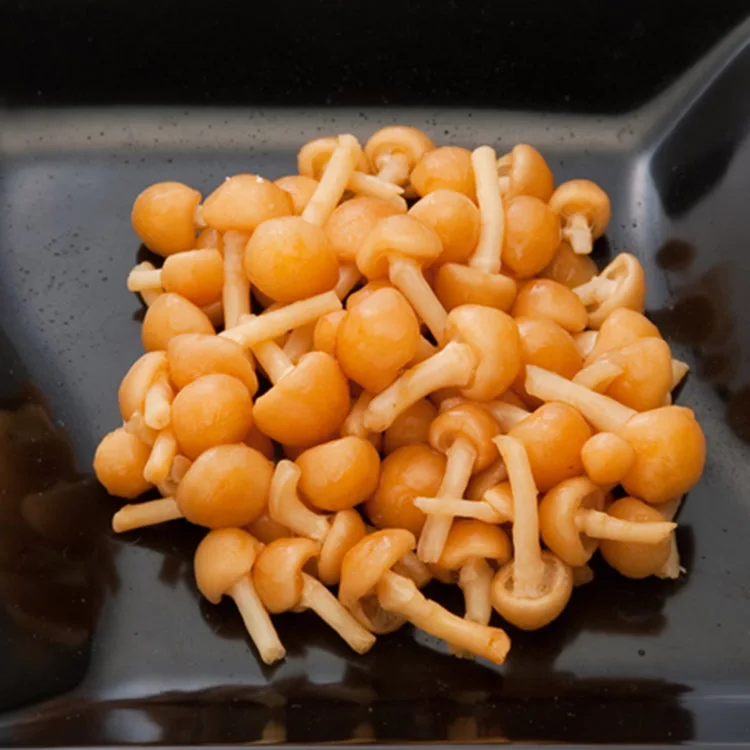 
Export High Quality Grade A Canned Nameko Mushroom 