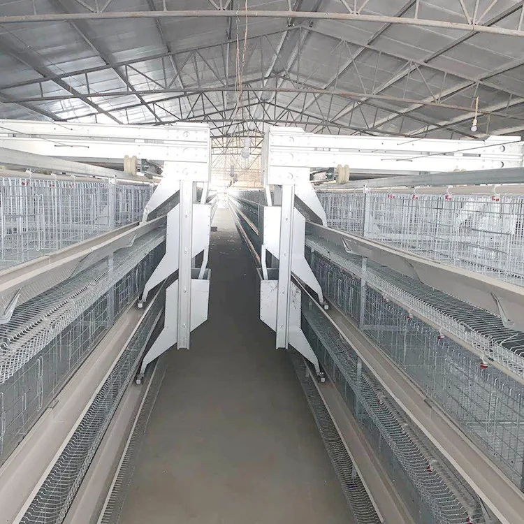 Animal Husbandry Chicken Cage Equipment for Africa Poultry Farm