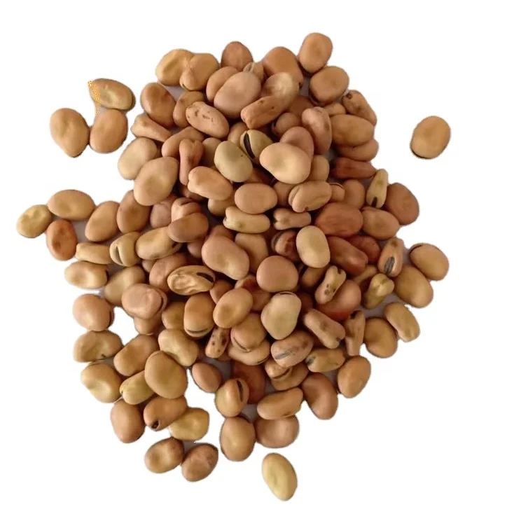 Сушеные бобы/фасоль/Фава бобы фабричная цена для пищевых продуктов для животных корм для животных