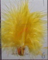 Strung Cock rooster feather Saddle Hackle Feathers