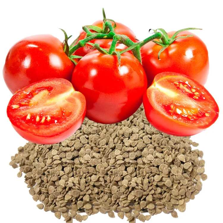 organic vegetable under 100 red Tomato seeds plant f1 hybrid black pink  yellow tomato for green house