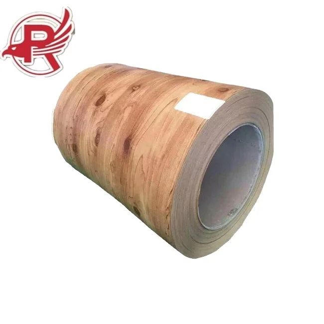 Coated Color Painted Metal Roll Paint Galvanized Zinc Coating SS400/DX53D/DX51D PPGI PPGL Steel Coil