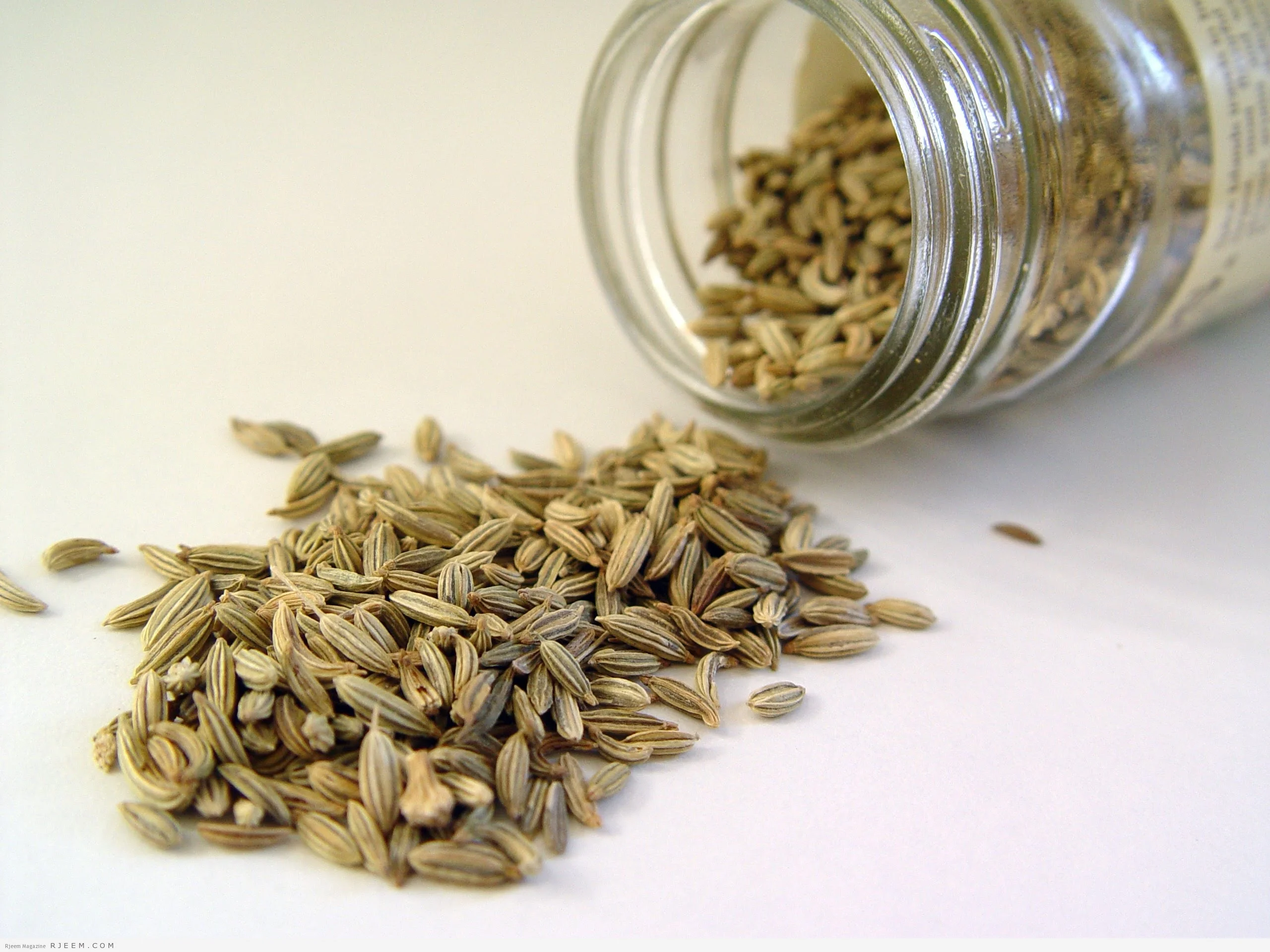 Turkish Cumin Seeds
