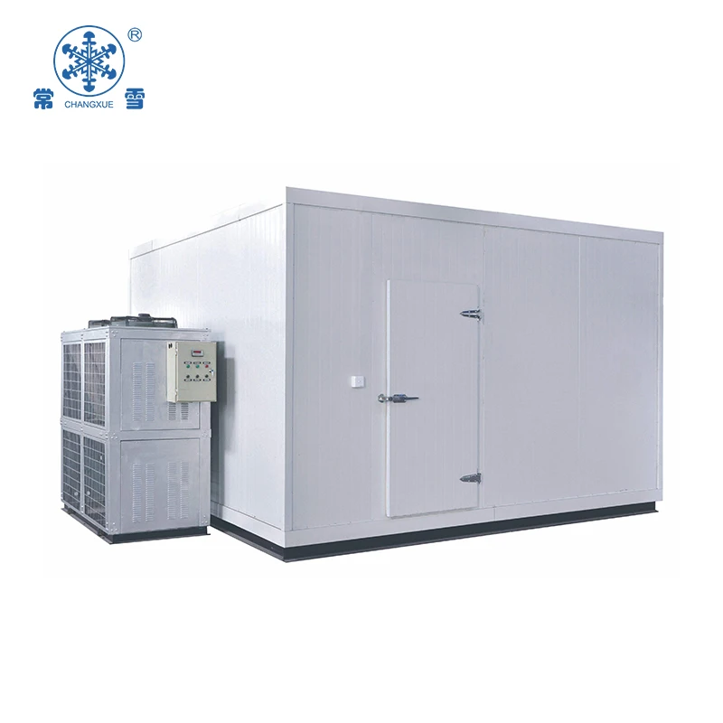 Professional Negative cold room freezer cold storage  unit project