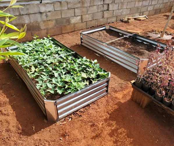 Customized 2 pcs 6x3x1ft Galvanized Metal Raised Garden Bed for Vegetables