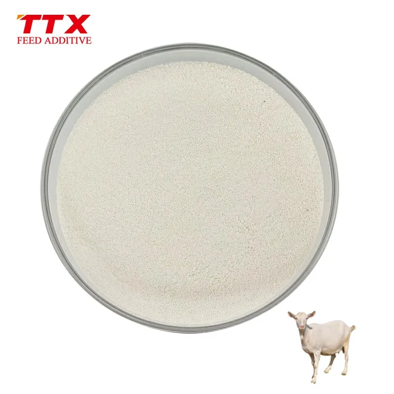 Chinese factory Supply Pure Phytase Enzyme Phytase