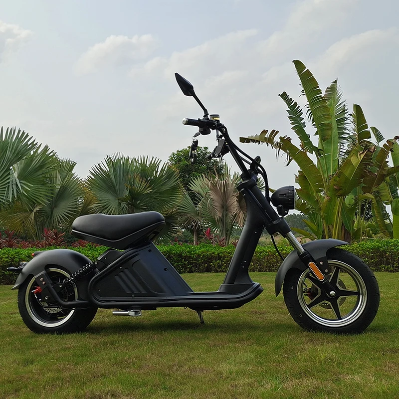 Anlochi long range citycoco 12 inch fat tire 60V 3000W 30Ah 75km/h electric scooter adult electric motorcycle