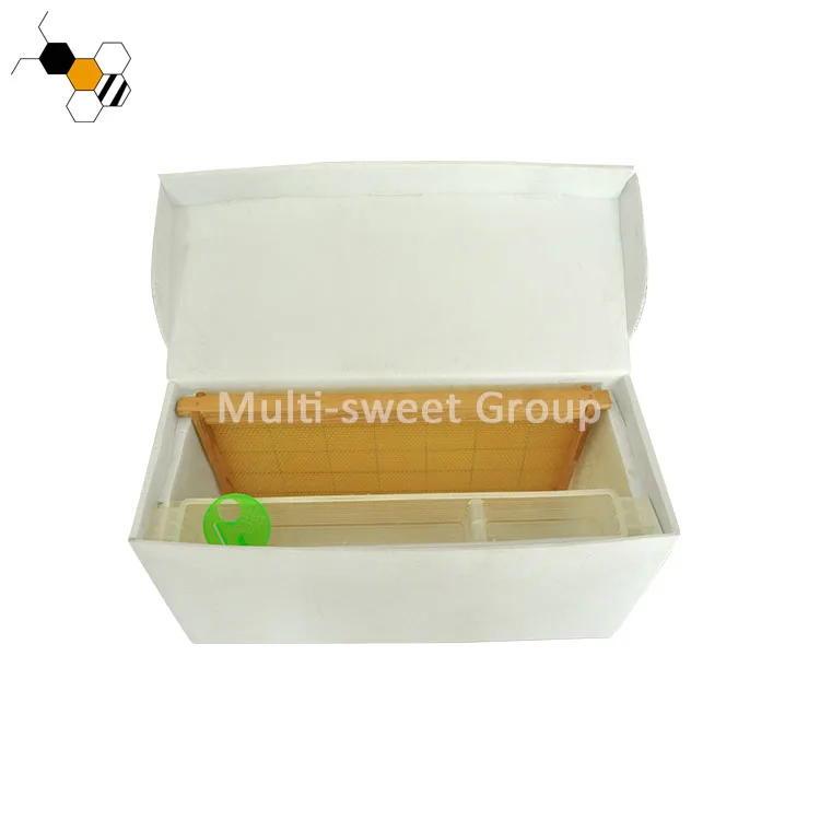Polypropylene cardboard bee box 5 frames plastic nuc box suitable for dadant frame