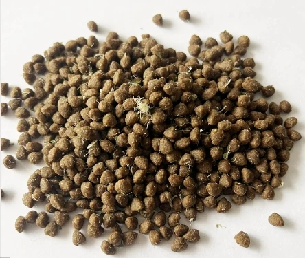 Частный вегетарианский корм для собак оздоровительный собачий закуска