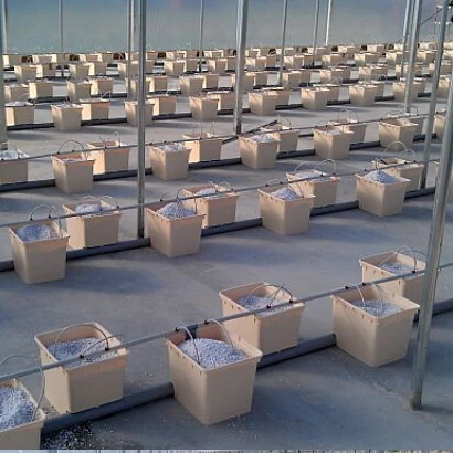 2022 High quality professional Dutch Bucket Bato Pot nft channel hydroponic growing system for tomatoes cucumber pepper farming