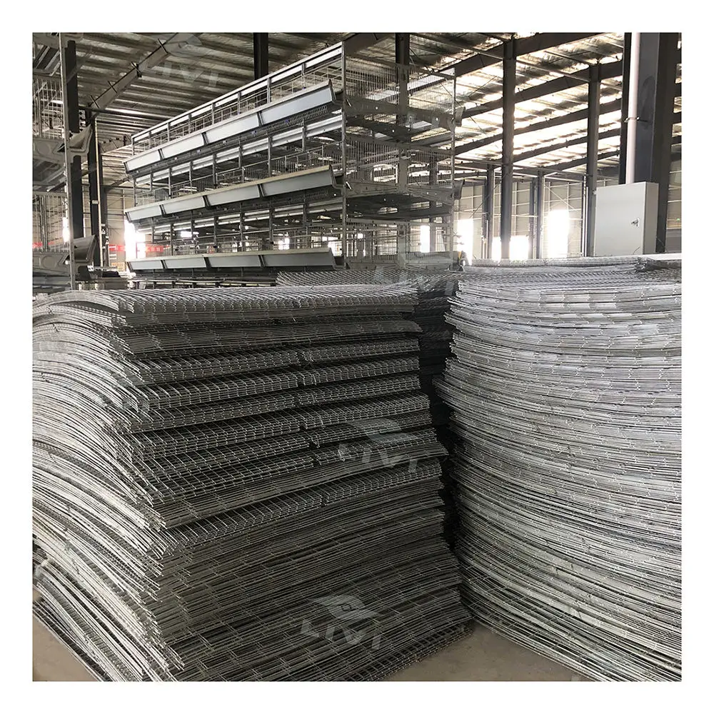 China Factory a Type Laying Hens Battery Chicken Cage With Chicken House