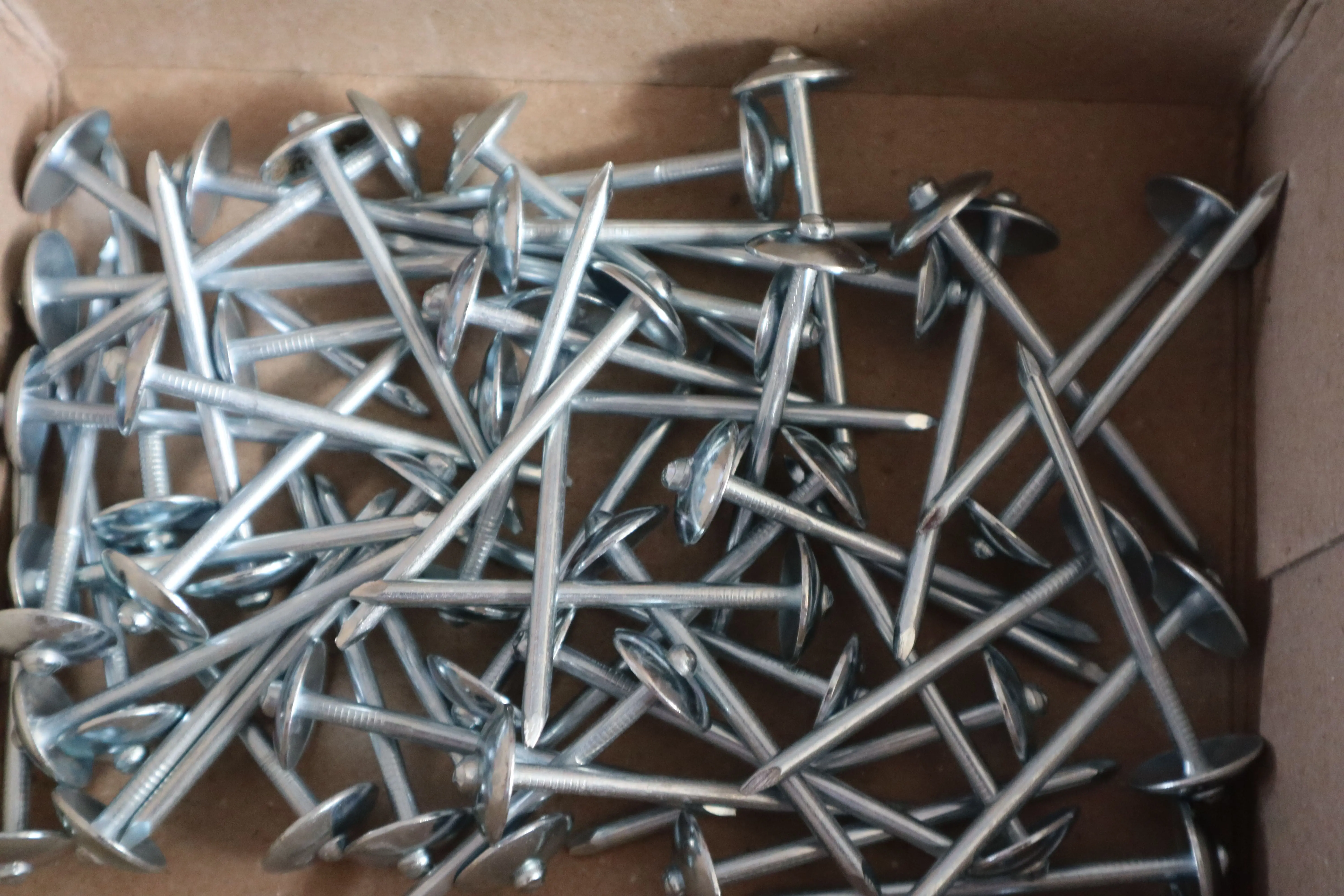 Common Nail/ Common Wire Nail / Wholesales Factory 1 kg per box 25kgs per carton iron nails