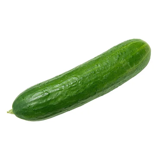 
High quality fresh cucumber 
