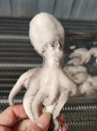 Customizable IQF Tunnel Freezer Machine/Individual Quick Freezing Equipment Fast Freezer Air Blast Freezer