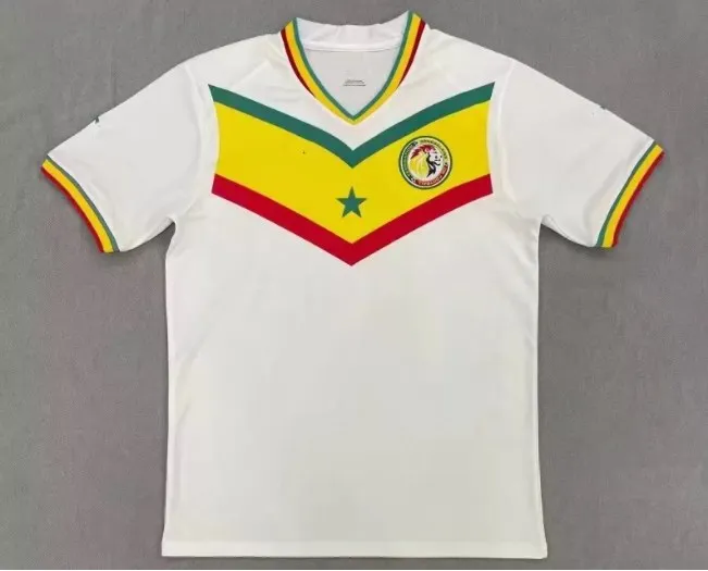 2022 Ghana soccer jerseys national team 2023 Home White THOMAS SCHLUPP J.AYEW KUDUS men football shirt customize