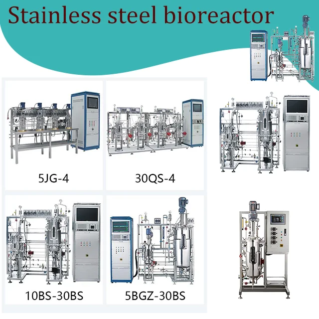 OLLITAL  Perfusion Agitator Tanque Bioreactor 30l 350l 3000l 100001 Bacteria Sten Cells