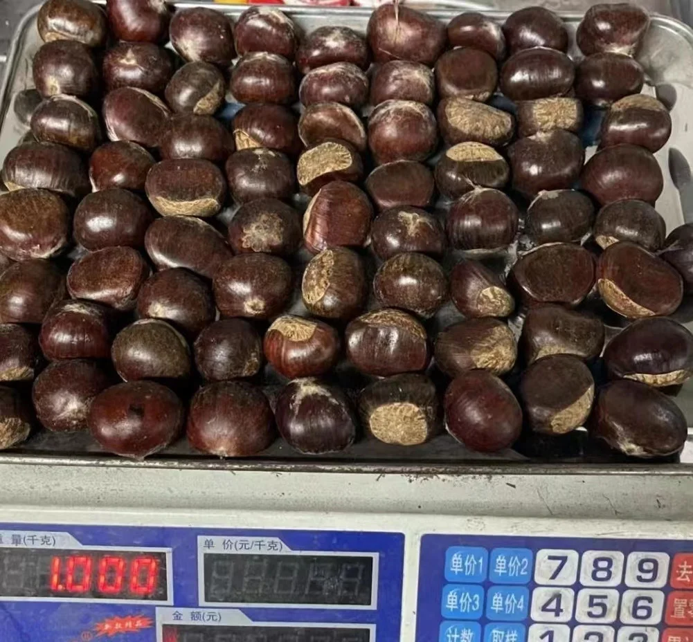 Новинка 2022, свежий урожай каштана, Даньдун, каштан, тайянский каштан