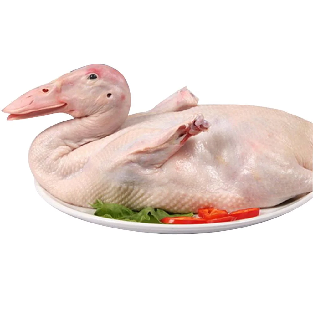 Frozen Clean Duck Meat Healthy and 100% pure Duck