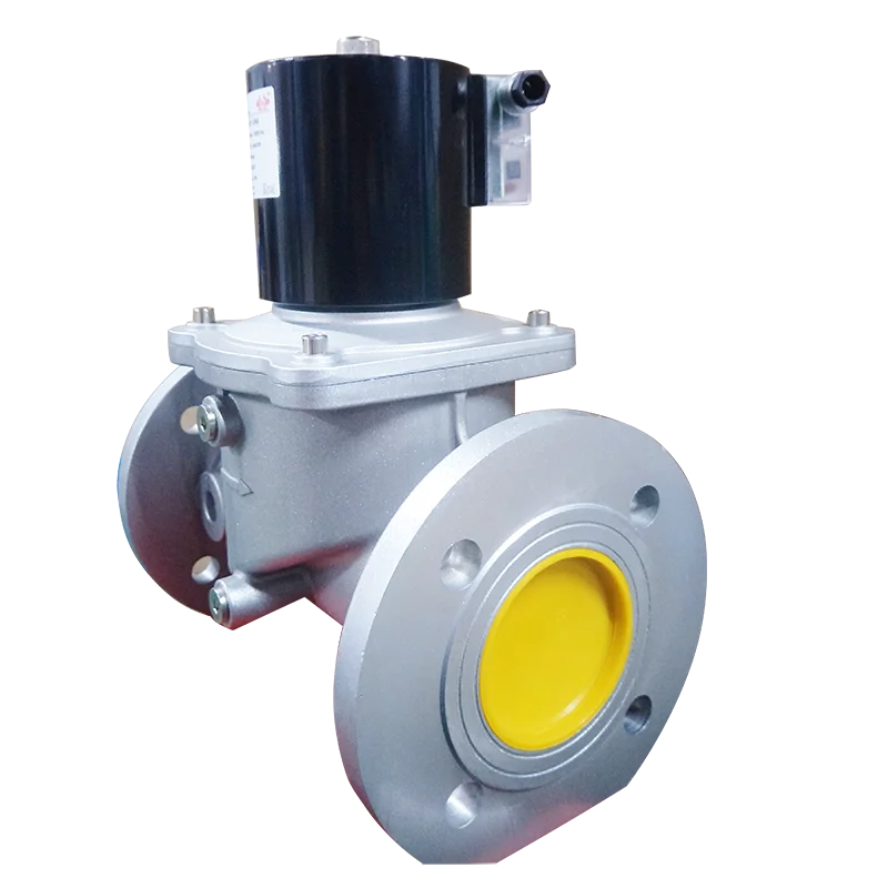 High Temperature and High Pressure Solenoid Switch Valve Boiler Piston Solenoid Valve Replaceable Elektrogas