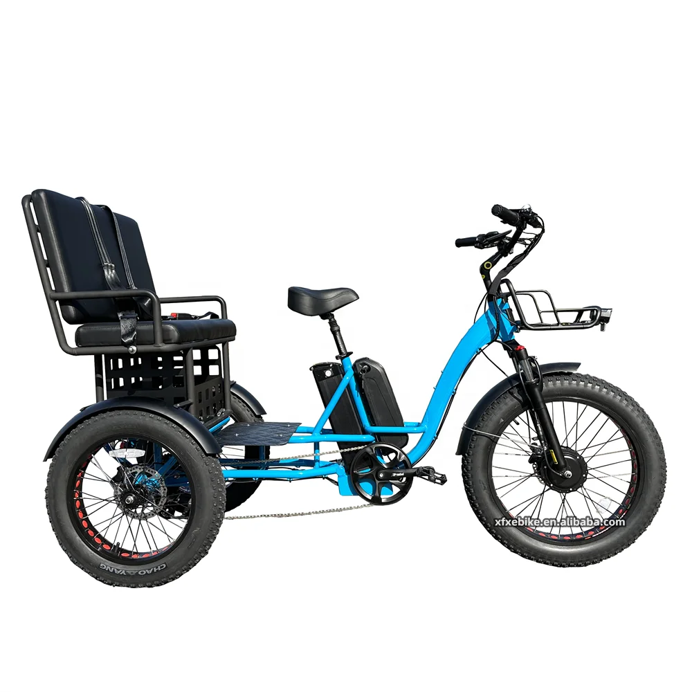 Max Loading 48V 19.2Ah Electric Cargo Bike 750W Rear Hub Motor 26Inch 3 Wheel Trike Ebike Bicycle electric tricycles