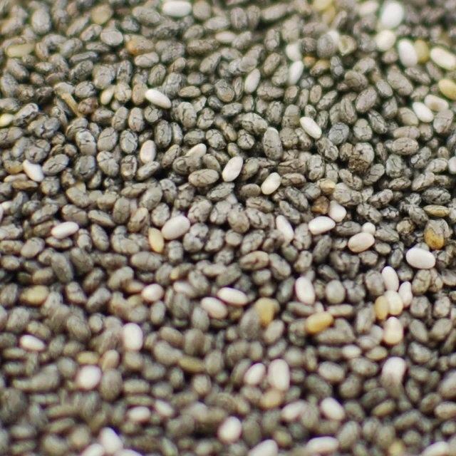 Chia Seeds Bulk 99% Pure raw hem pFirst Degree Fullness Certified High Protein Bulk  high quality organic Chia Seeds