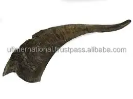  Козий гудок лучшая вода буйвол дешевая цена натуральный продукт Декор для дома и продажи