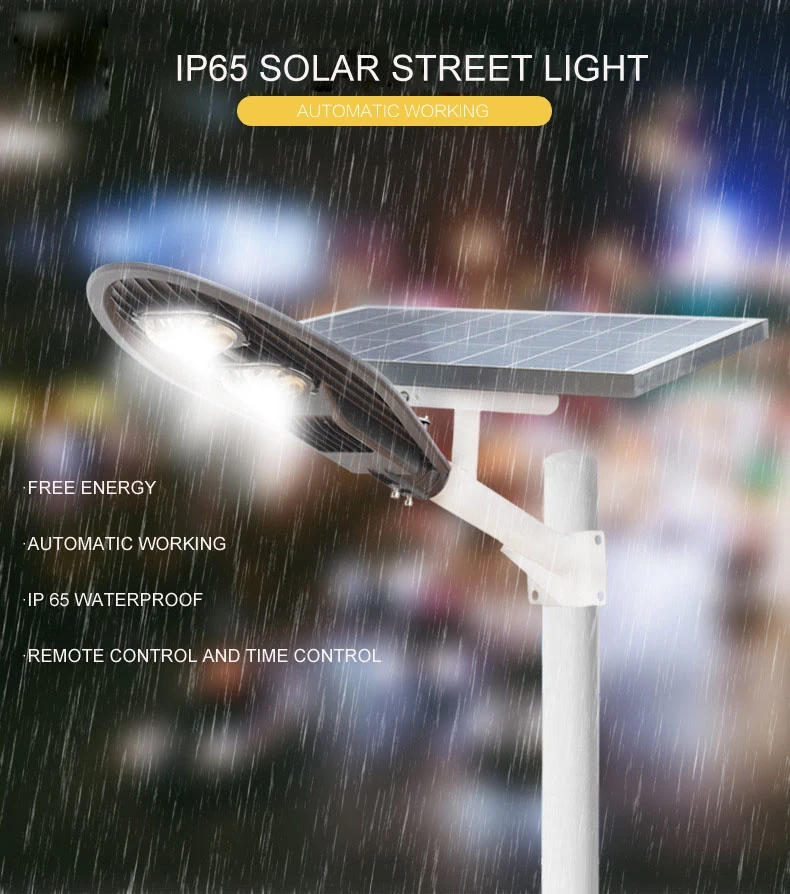 Quality Assurance 50W 100W Big Black LED Solar Charge Board Street Lights High Lumen Lamp Explosion Proof High Power 100W 200W