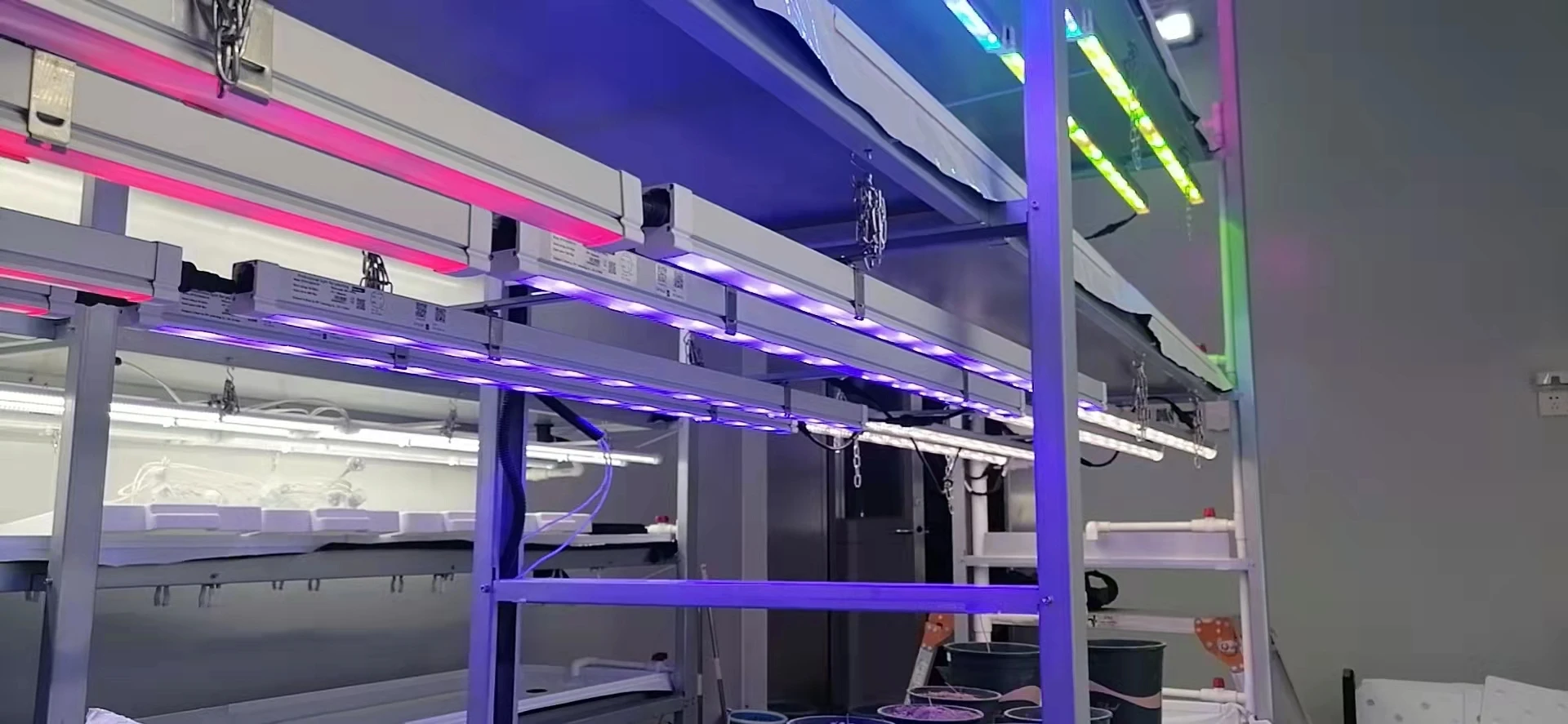 Customized 36W Dimming Led Grow Light Bar for Veg Flower medicinal Plants Growing