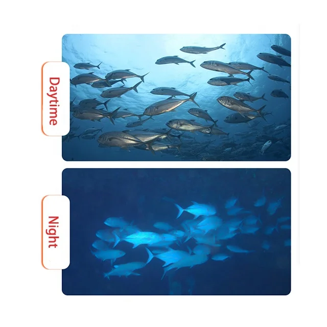 Live HD 1080P Dual Screen Underwater Live HD Camera Mobile Fish Finder