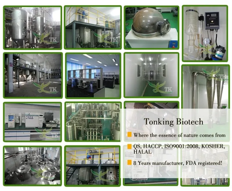 
100% Natural Astragalus Root Extract 